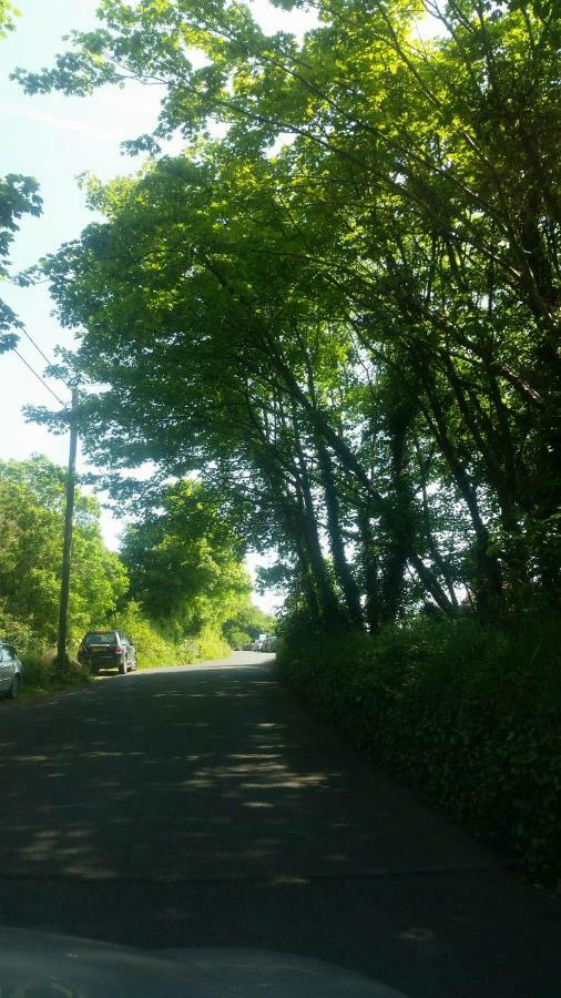 Seasidesteps Fishguard Εξωτερικό φωτογραφία